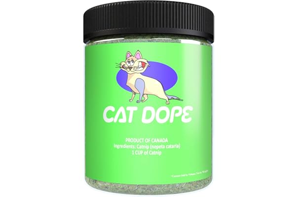 most potent catnip