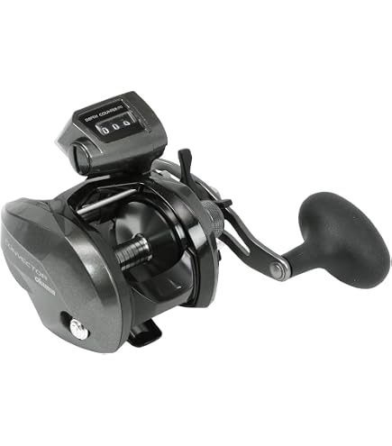 Daiwa ACCUDEPTH Plus LC Reel 1 4.2 : 1 : Sports & Outdoors