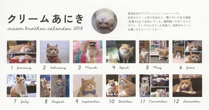 Amazon 学研ステイフル クリームあにき 18年 カレンダー 卓上 M カレンダー 文房具 オフィス用品 Amazon 学研ステイフル クリームあにき 18年 カレンダー 卓上 M カレンダー 文房具 オフィス用品