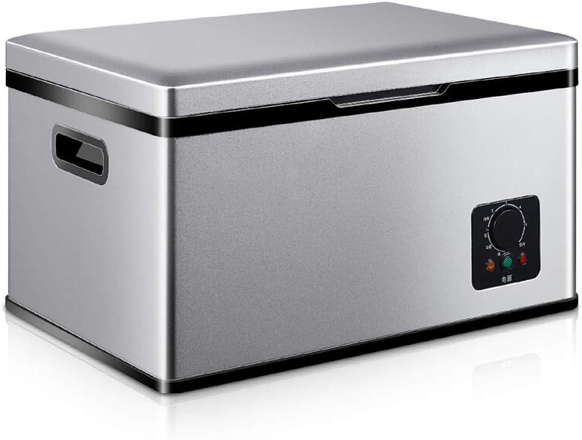 18 L Mini Frigo électrique Portable Réfrigérateur De Voiture Chaud Et Froid Compact Compresseur