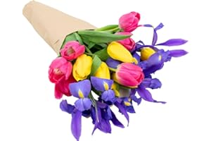 Stargazer Barn Besties Bouquet With Fresh Tulips & Blue Iris, Purple, Pink, Yellow, Fresh Flowers, 15 Count