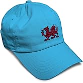 Custom Soft Baseball Hat Embroidered Dad Hat Wales Flag Dragon Seal Men & Ladies Baseball Cap Cotton