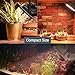 ACKE-Glow-Light-Plants-Light for Indoor Plants,Growing Lamp for Greenhouse,Grow Light Fixture for Plants' Growing (RW)