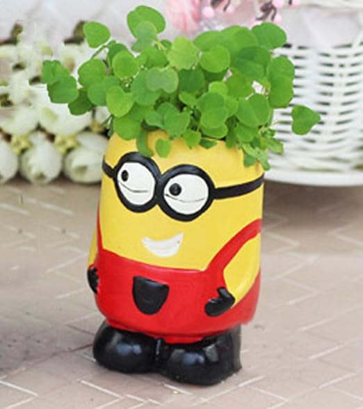 YOURNELO Minions - Estuche de cerámica para mini macetas, diseño ...