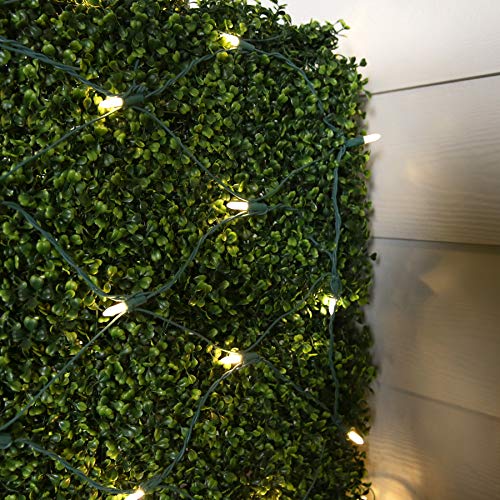 GE StayBright LED Net Lights - Image 3