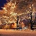 SANJICHA Ladder String Lights, Upgraded Brightness Christmas Lights, IP65 Waterproof 110Led Christmas Ladder Lights for Patio Garden Yard Party (Warm White