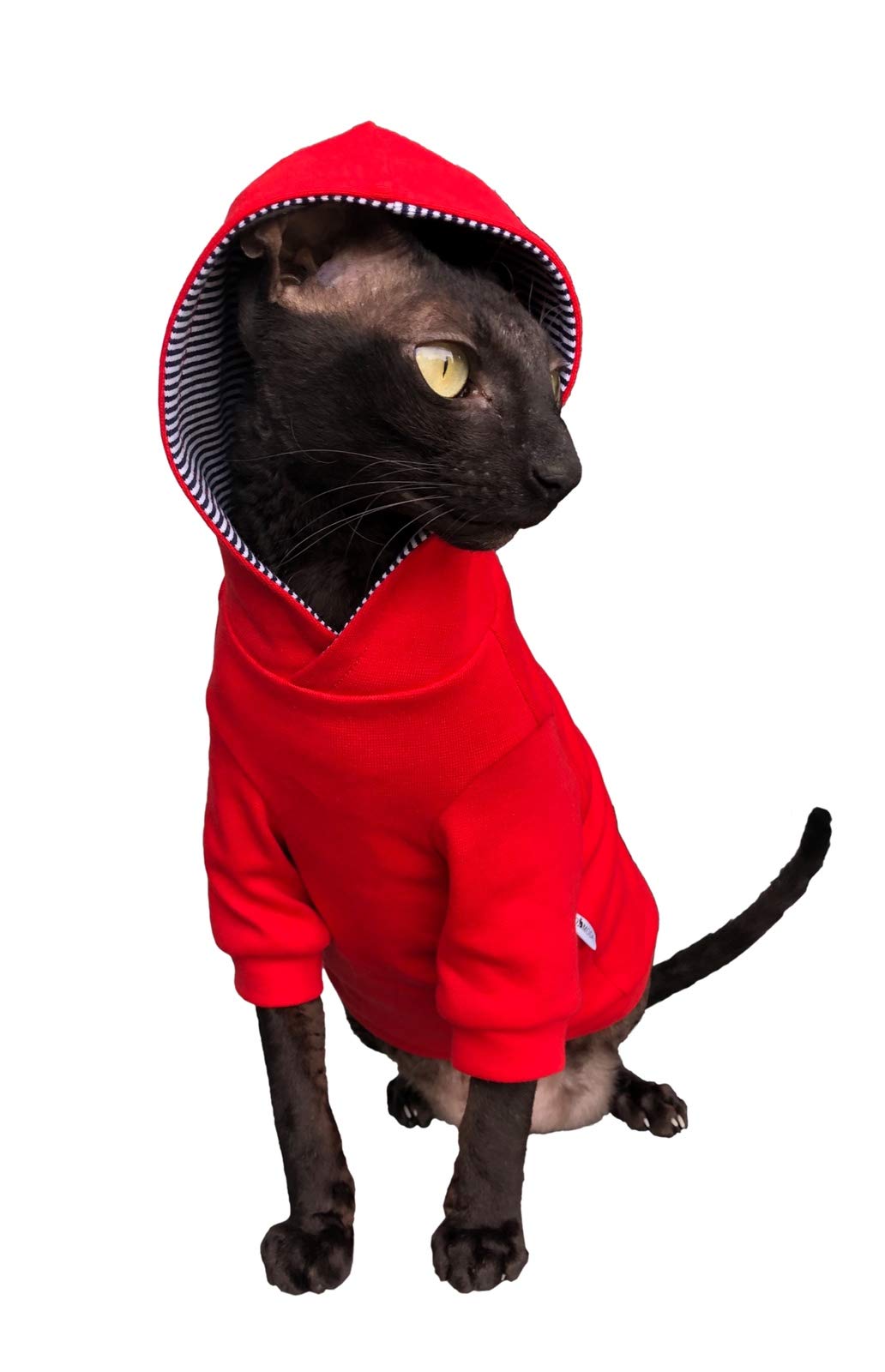 Kotomoda Sphynx Cat's Hoodie InRed Naked Cat Hairless Cat Clothes (L) — image 1