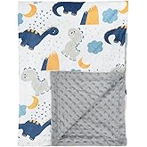 Baby Blanket for Girls Boys Animal Minky Super Soft Double Layer Receiving Blanket with Dotted Backing for Newborns Nursery Stroller Receiving Toddlers Crib Bedding 30x40Inch (Cartoon Dinosaur)