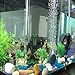 AsiaPPump Aquarium Air Pump Quietest Energy Saving 1-1.5W 24-40 Gallon Fish Tank Oxygen Aerator Pump (Black Fish)