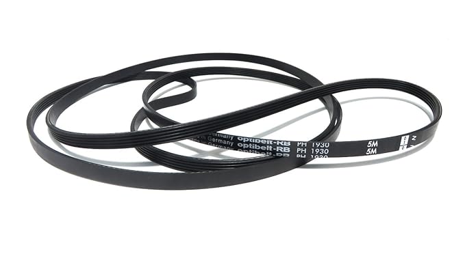 Hutchinson - Correa de secadora PH 1930: Amazon.es: Hogar