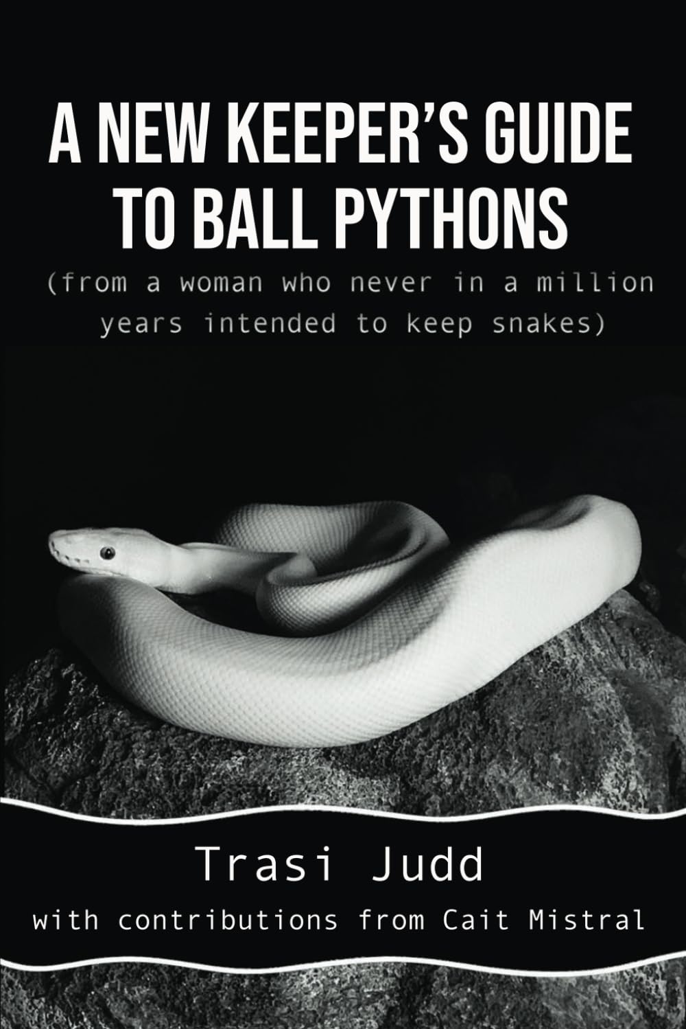 A New Keeper's Guide to Ball Pythons
