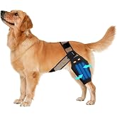 Bartuke Dog Knee Brace for Torn ACL, Dog Leg Brace for Front Torn and Back Hind Rear Legs, Breathable Elastic Legs Support for Arthritis, Cruciate Ligament Injury, Luxating Patella, Recovery (M)