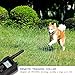 PESTON Dog Shock Collar, Dog Training Collar with Remote - Rechargeable and Waterproof, All Size Dogs (10Lbs - 100Lbs)