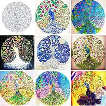 An Inky Treasure Hunt And Coloring Book Release Stress Painting Drawing Book Secret Garden Buy Online At Best Price In Uae Amazon Ae