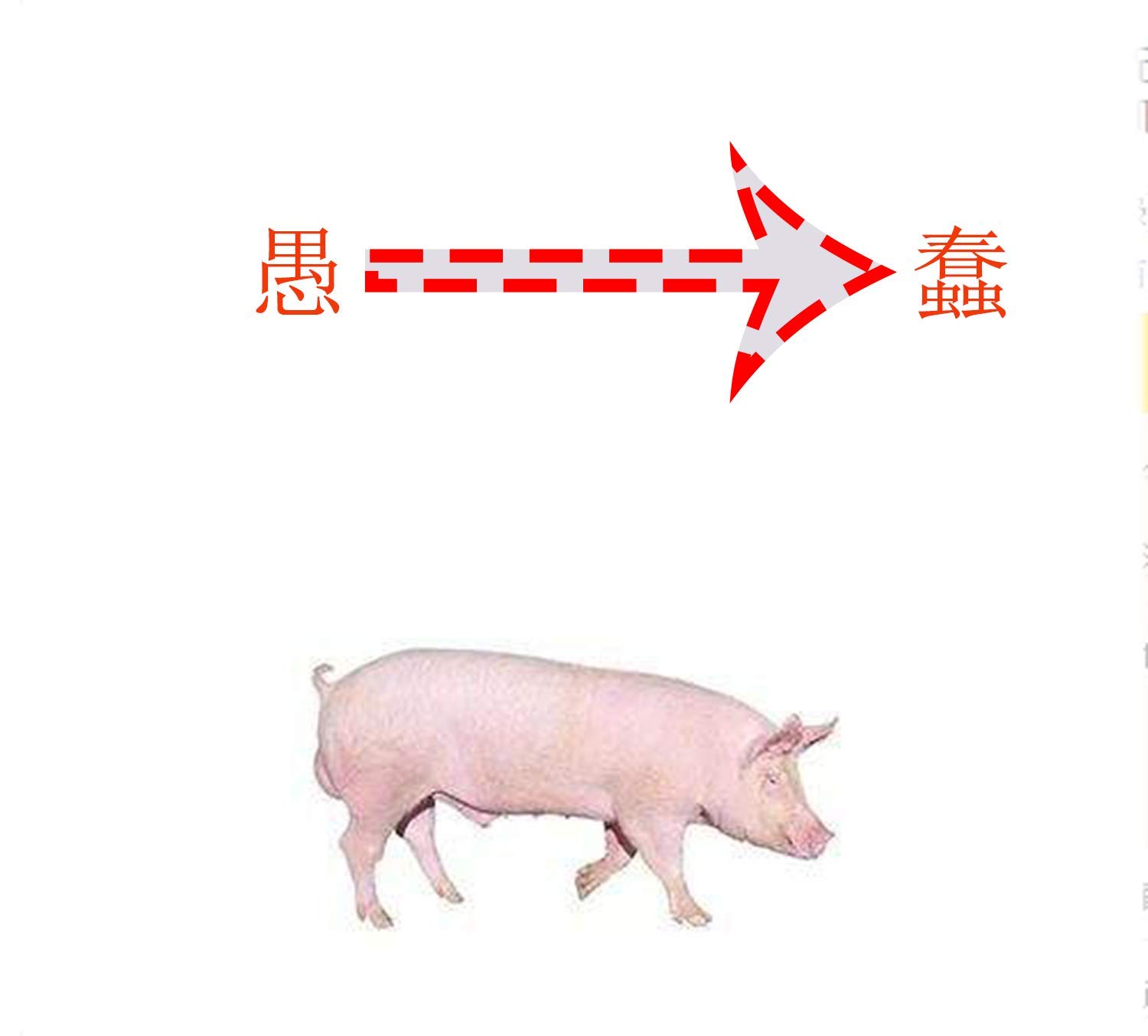 Professional Water Flosser for Teeth with 5 Multifunctional Tips Dental Flosser 800ml Water Capacity Oral Irrigator for Family Dental Cleaning,Blue