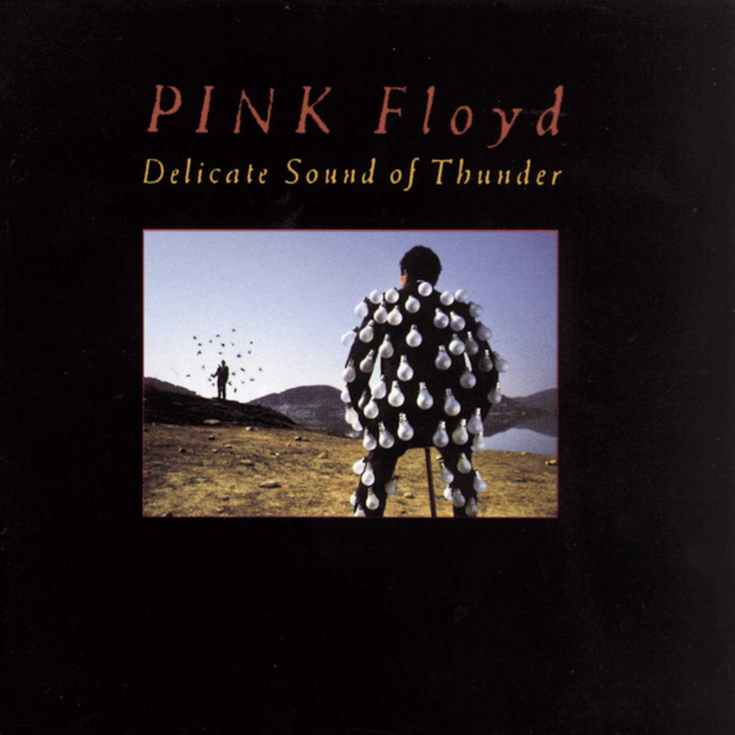 Photo 1 of Delicate Sound Of Thunder