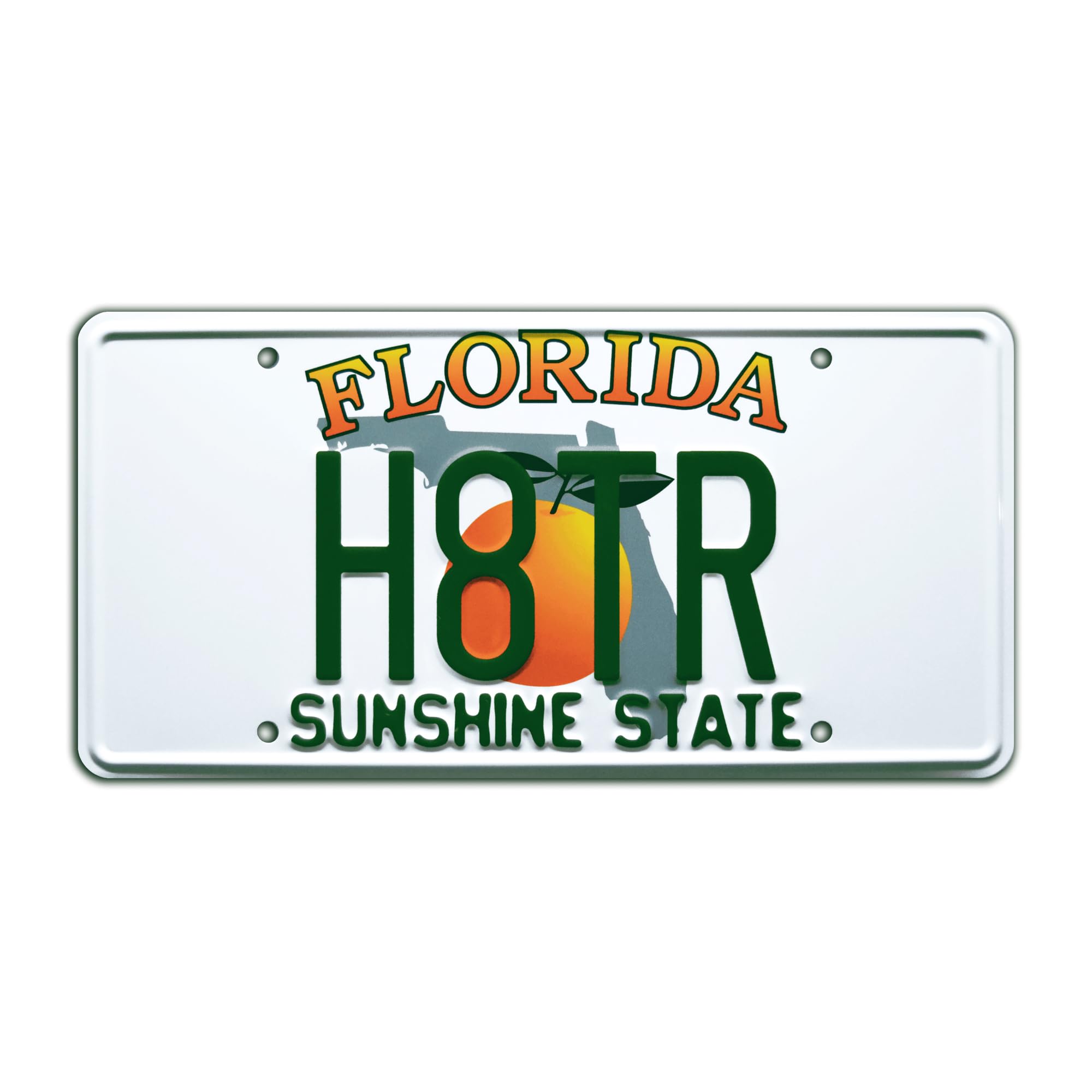 2 Fast 2 Furious | H8TR | Metal Stamped License Plate