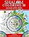 Shalom Coloring III: Animals of the Bible primary