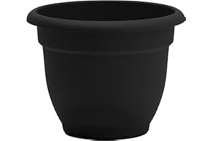 Bloem Ariana Pot Planter: 12" - Black - Durable Resin Pot, For Indoor and Outdoor Use, Gardening, Self Watering Disk Included, 3 Gallon Capacity