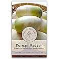 Gaea's Blessing Seeds - Daikon Radish Seeds - Summit F1 Hybrid - Korean Type Non-GMO Seeds with Easy to Follow Planting Instructions - 94% Germination Rate