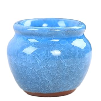 Amazon Co Jp Outflower 植木鉢 おしゃれ 陶器 室内 安い 多肉植物