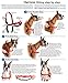 PetSafe Easy Walk Harness for Dogs - Pull-Free Walks - Patented Martingale Loop Design - Front Chest Leash Attachment - Comfort Straps - Breathable Harness Design - Medium, Red/Black