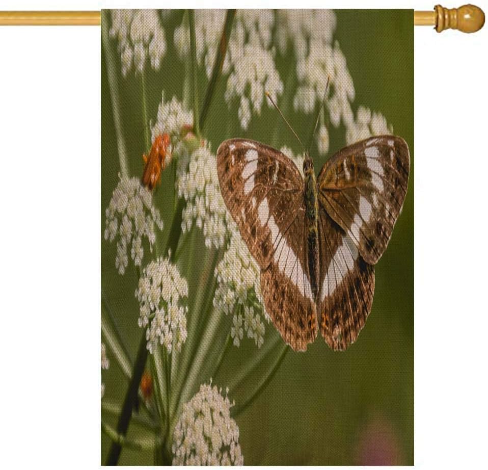 HerysTa Garden Flag Holder Garden Flag Pole Holder 28 X 40 Inches Macro White Admiral Butterfly Flower Western Garden Flag Give Thanks Garden Flag Royal