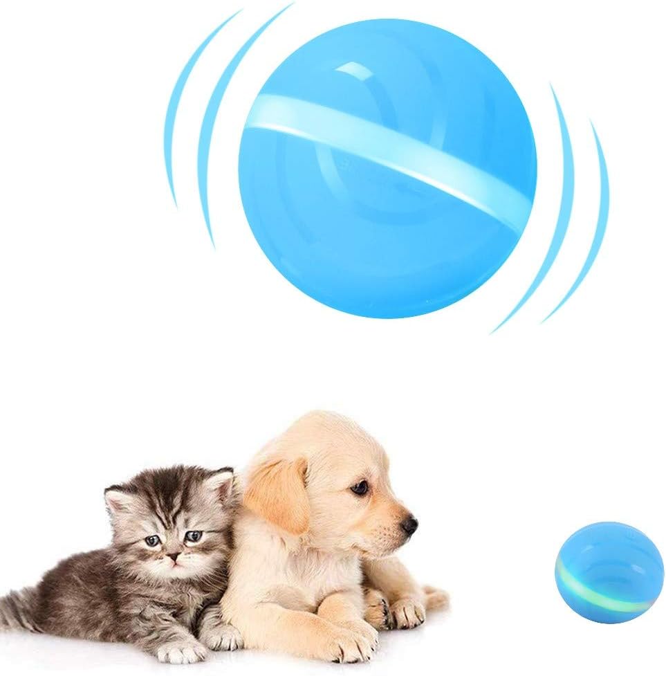 active rolling ball for dogs