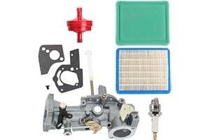 Wellsking 498298 Carburetor for Briggs and Stratton 692784 495951 492611 490533 495426 Carb 112202 112212 112231 112232 112252 112292 134202 135202 133212 130202 5HP engine