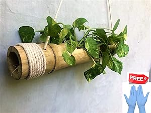 OOTY Bamboo Rare Pure Hand Made Hanging Bamboo Pot with Adjustable Rope and Wood Polish Finished Surface and Free ONE Pair of Garden Disposable Gloves