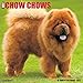 Just Chow Chows 2017 Wall Calendar (Dog Breed Calendars)