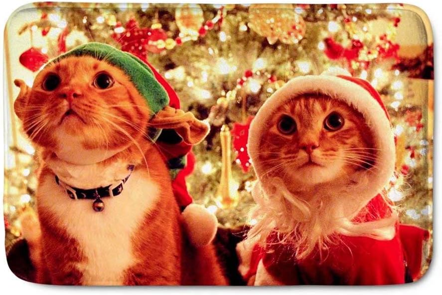 Dellukee Christmas Indoor Doormats Two Cute Cats Pattern Funny Non Slip Durable Washable Home Decorative Door Mats Rugs for Entrance Bedroom Bathroom Kitchen, 23 x 16 Inches