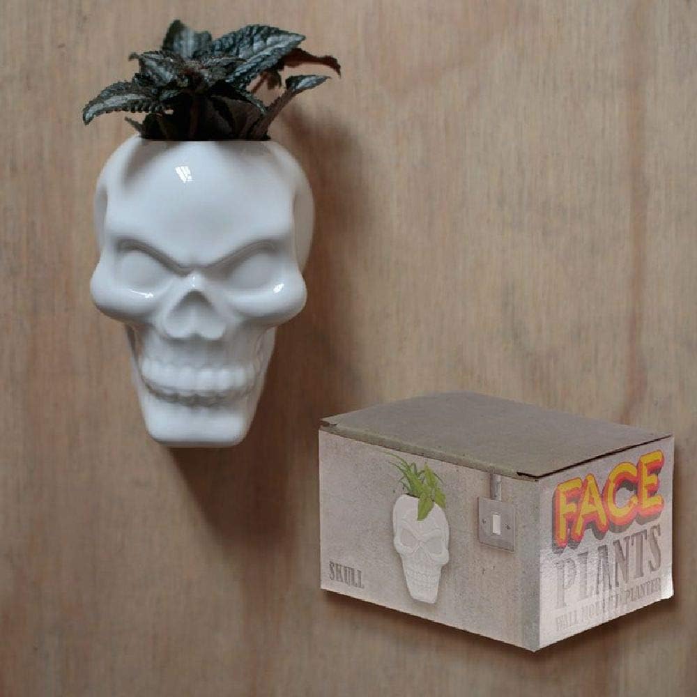 Ceramic Skull Garden Wall Planter, Multicolored