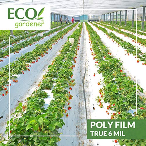 Black and White Poly Film - 10' x 50' 6mil, 4 Year UV Treated, Heavy Duty Polyethylene Sheeting by ECOgardener