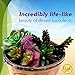 ELLIE ARTS Artificial Succulent Plants with Unpotted Faux Burros Tail and Echeveria for Terrariums and Home Office Decor (7 Pieces)