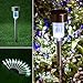 Boomile Solar Garden Lights Outdoor, Solar Pathway Lights, Landscape Lighting for Lawn/Garden (Stainless Steel)