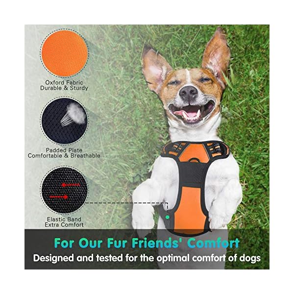 eagloo no pull dog harness