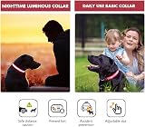 MASBRILL Light Up Dog Collar LED USB Rechargeable Red L Waterproof view 7