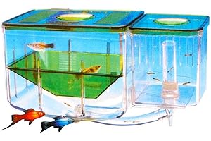 Saim Fish Breeding Tanks Aquarium Nursery Automatic Circulating Hatchery Aquarium for Baby Fishes Shrimp Clownfish and Guppy