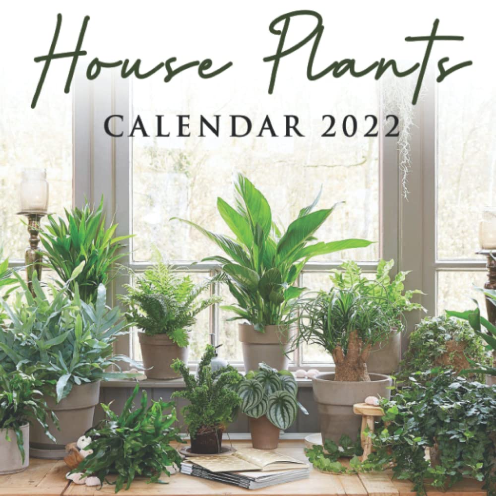 House Calendar 2022 House Plants Calendar 2022: 16 Month Calendar 2022 Monthly Square Calendar  2022-2023, Perfect Gift For Plant Lovers Women And Men: Publishing,  Cecilia: 9798771455242: Amazon.com: Books