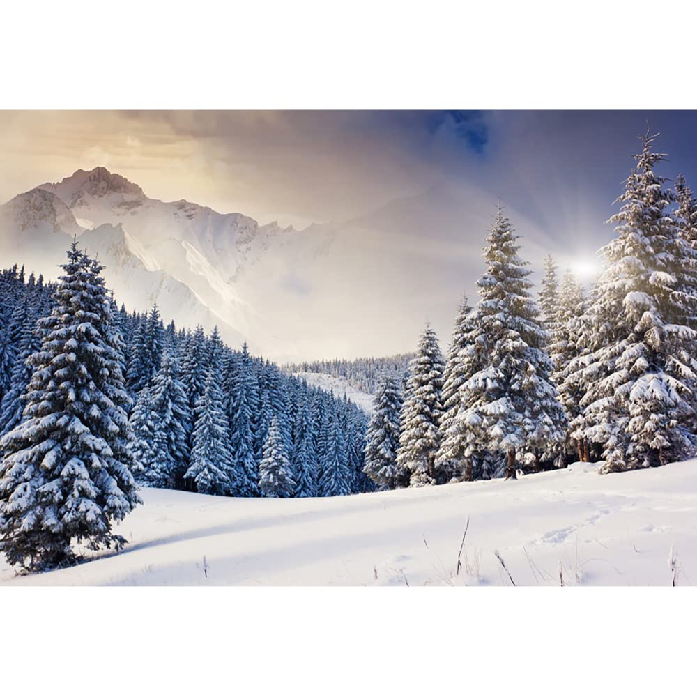 Aoihrraan 3,5x2,5m Winter Forest Backdrop Snow Covered Fir Pine Snowfield Snowy Mountain Nature Scenery Photography Background New Year Christmas Party Kids Teens Adult Portrait Photo Studio Props