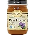 GloryBee Clover Blossom Raw Organic Honey, 18 Ounce
