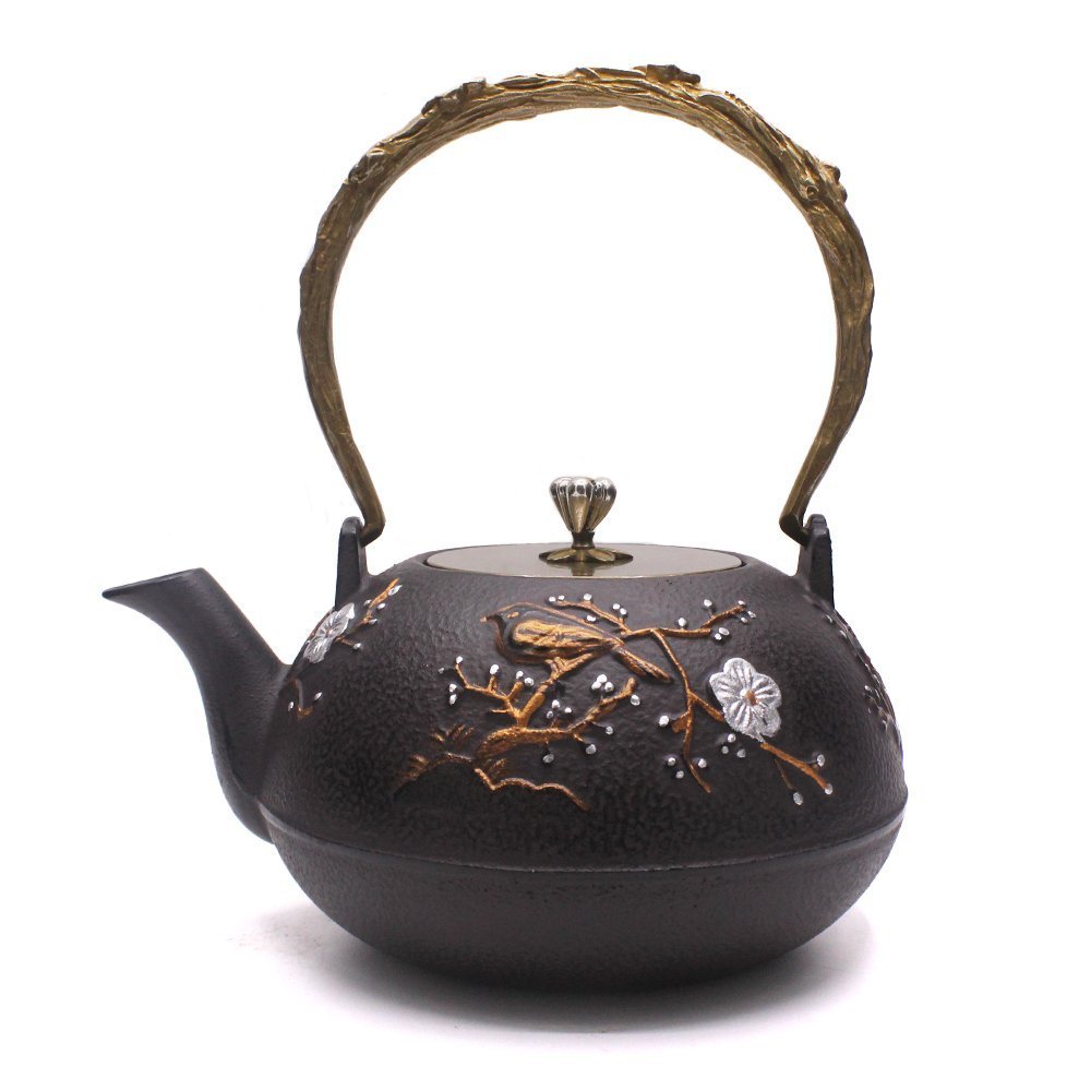 Best cast iron enamel tea kettle