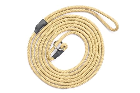 KENSONS for dogs Showleine | Ausstellungsleine - beige - OHNE Zugstopp | 4 mm Durchmesser x 160 cm Länge - sportliche Vorführ