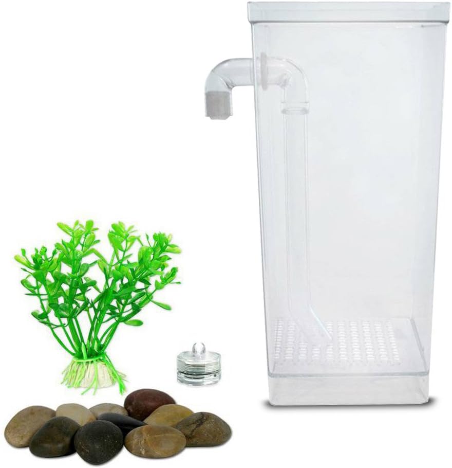 self cleaning betta tank