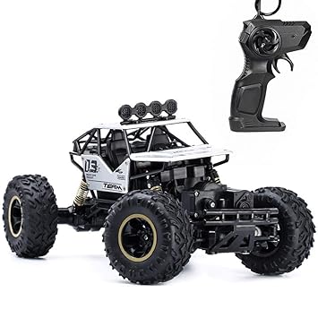 rc 4wd cross country buggy