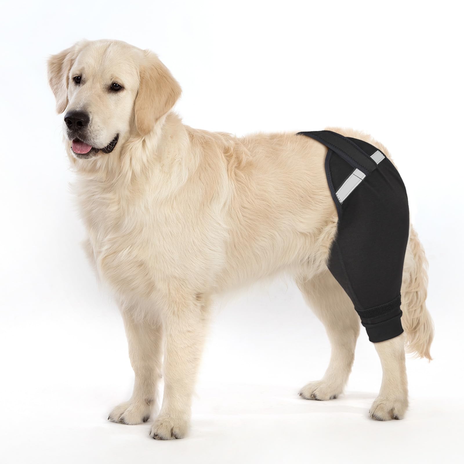 Photo 1 of Petdream Dog Rear Leg Sleeve to Stop Licking, Upgraded Leg Shap to Stop Slipping, for TPLO Surgery, Skin Conditions, Wounds, Breathable Soft Fabric (Black, Right Leg, XXL)