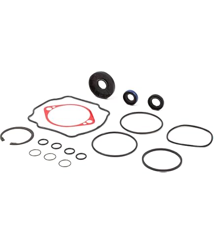 Stens 025-511 Parker Wheel Motor Seal Kit - For Mowers, Models TF TG DF DG