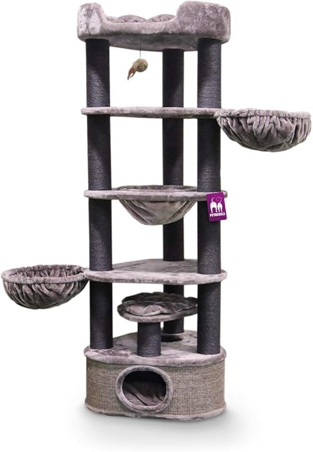 Petrebels Catharina Maine Coon Arbre A Chat Cappuccino Xxl 0 Cm Amazon Fr Animalerie