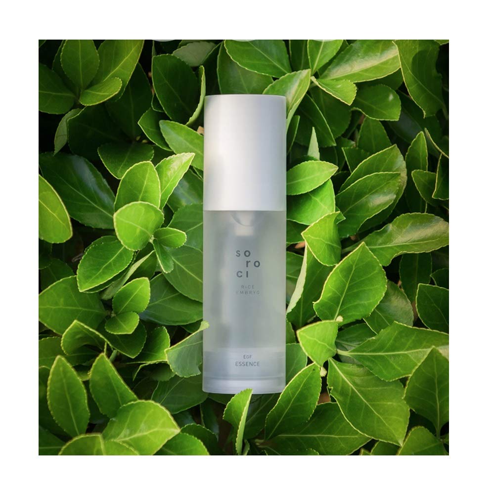 soroci spotlight eye cream